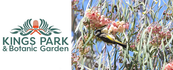 Kings Park and Botanic Garden | Open