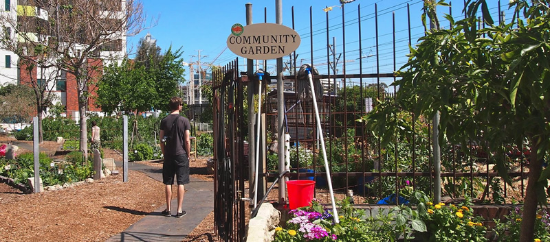 City Farm Organic Growers Market City Farm Organic Growers Market